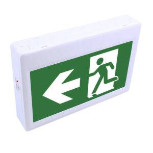 Emergency Light running man ABS 120-347V 120 mins